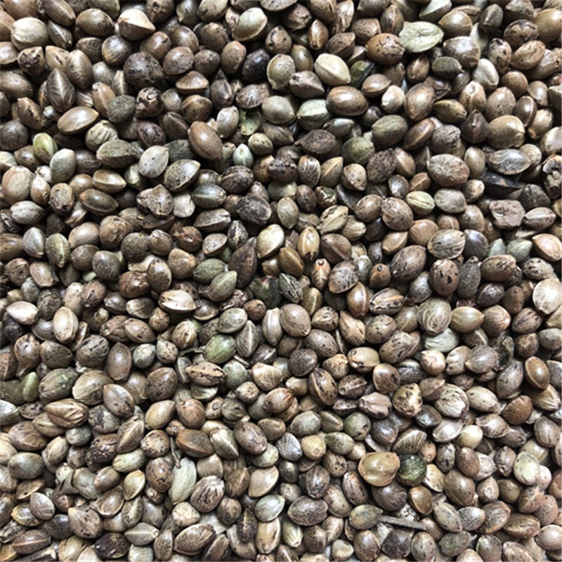 火麻仁麻子仁火麻子麻子麻仁火麻仁大麻子麻仁一公斤农产品初加工-阿里巴巴
