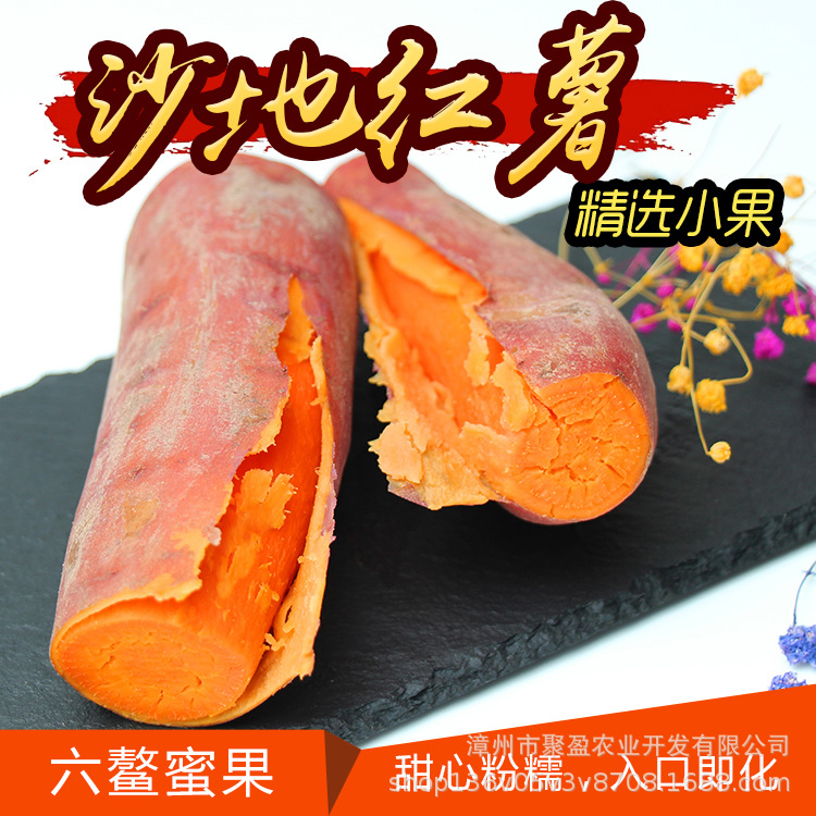 fresh Six. Sweet potato Hong potato Six. sweet potato Red Sweet potato Mini Red sweet potato On behalf of