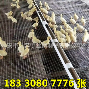 �S�����l ���u �����Bֳ䁵�©�S���ϾW ���ȸ� ʹ�����޿��_10��