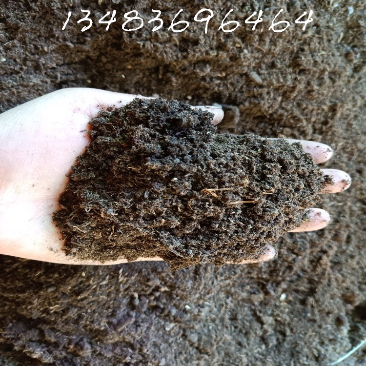 园林绿化用草炭土种菜种草莓园艺种花多肉植物用腐殖泥炭营养土