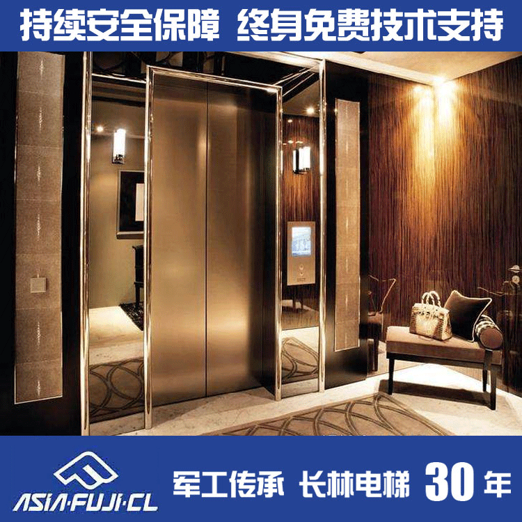 家用电梯优质品牌富士长林电梯专业生产小型室外室内 家用电梯|ms
