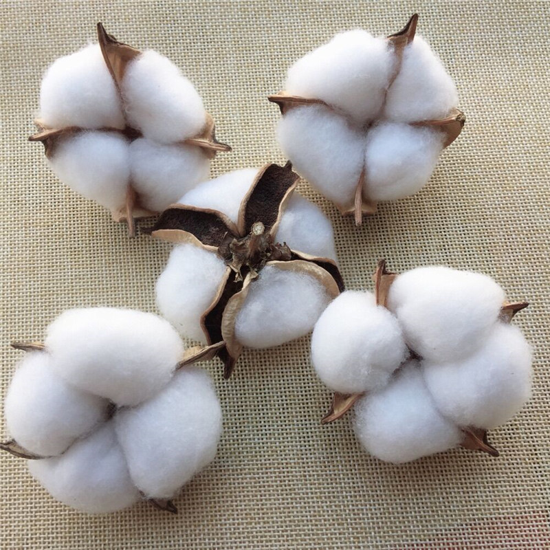 Direct supply of simulation cotton art dry cotton wedding…