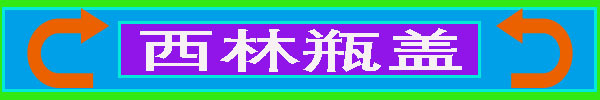 西林瓶03