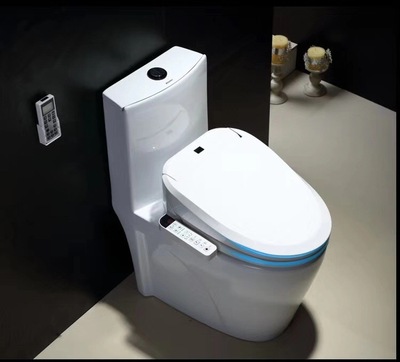 智能马桶盖即热式全自动家用电动洁身器冲洗器坐便器盖板冲洗加热