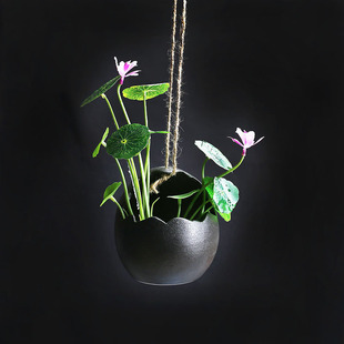 �S�����l�羳�@ˇ�Wʽ���⵰�κڰ�ɫ�젝ˮ�໨���մɱڒ컨��