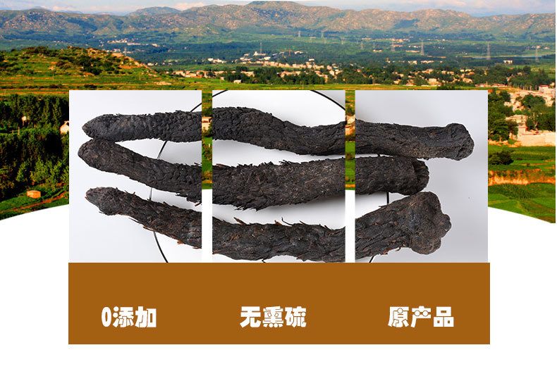 Rou Cong Rong Slices (Cistanche deserticola) — Soft Sweet Food-Herb from Inner Mongolia quality and texture