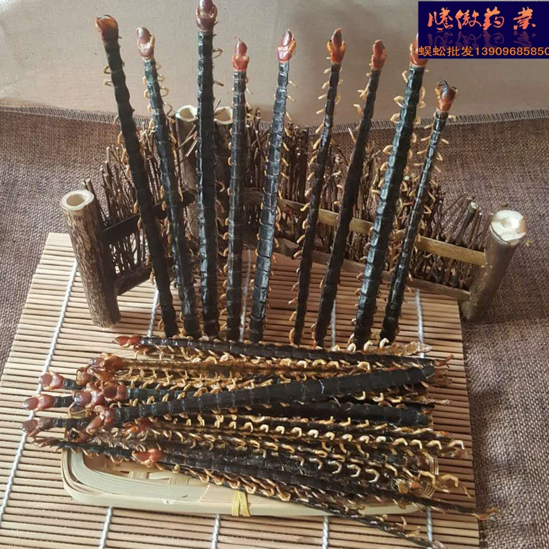 Сороконожка китайская травяная медицина сороконожка сушеная сороконожка мясо оптом все виды кожи сороконожки Хубэй Гуанси сороконожка красная голова многоножка почтовые расходы