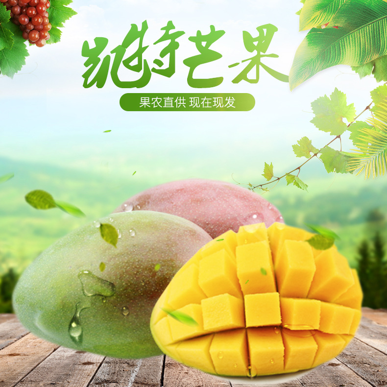 四川芒果 凱特芒果 5斤裝中果 新鮮水果凱特芒果 壹件代發