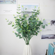 11�潁���ȼ������X�� �Ҿӿ͏d�k�����[�������֦�Gֲ