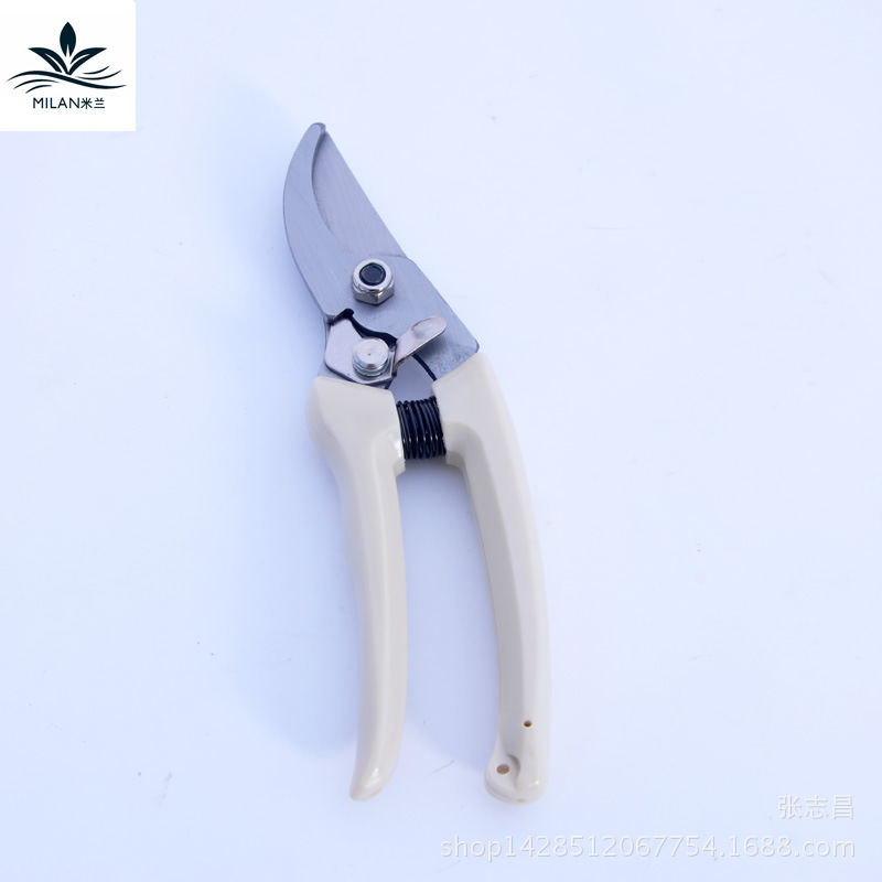 Tijeras de podar de rama de flor Rama de jardín Rama de flor/Tijeras de jardinería Tijeras de rama de flor Tijeras de arreglo floral Materiales de embalaje de flores