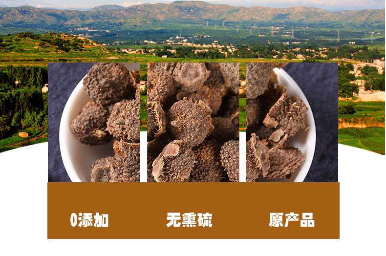 Ci Li Fruit (Rosa roxburghii) — Dried Guizhou Thorny Rose Fruit, Food-Herb Botanical quality and texture