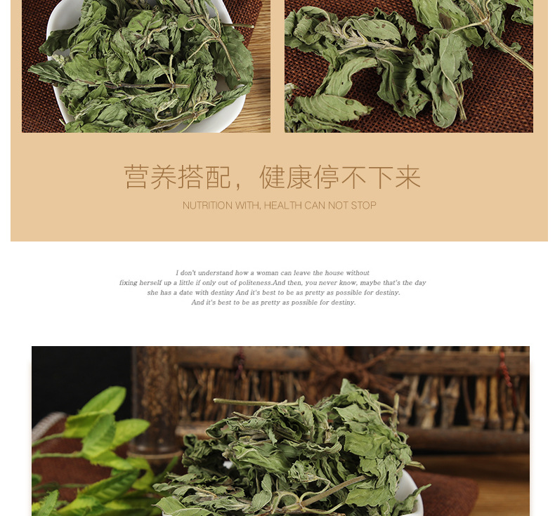 Mint Leaves (Mentha haplocalyx) — Dried Food-Herb for Cooling Herbal Teas & Blends overview