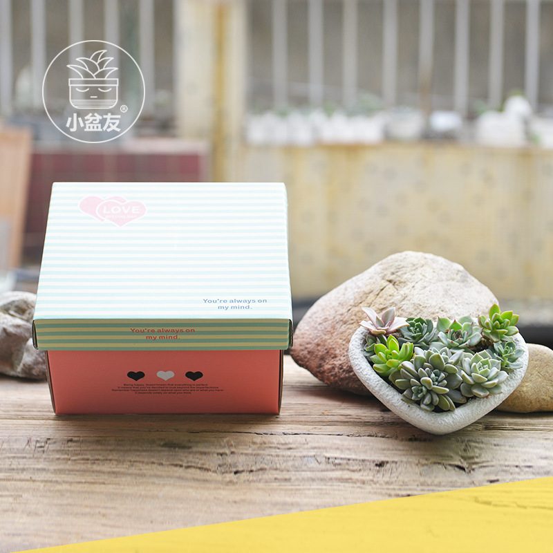 【小盆友】厂家直销批发水泥盆多肉植物创意花盆仿石小爱心加彩盒|ms