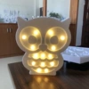 White owl