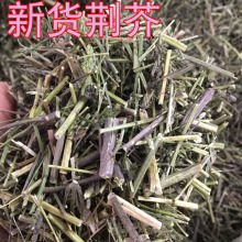 中草堂 一斤装 荆芥 荆芥丛 香荆芥 全草荆芥 土荆芥 免费打粉