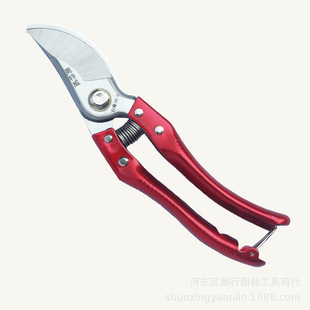 ����@�ּ����������ޘ����֦��������Ӵ�֦��������֦����