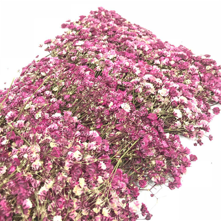 QQ图片20181210201123