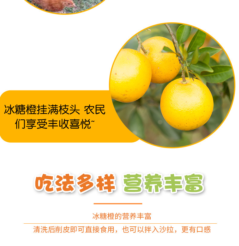 详情页7.jpg