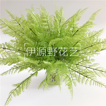 �ָ�С���Xާ��˹�� �����Ų�ާ��ֲ���� �GɫС�������滨