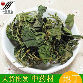 紫花地丁药材价格 最新紫花地丁药材价格 批发报价 价格大全 阿里巴巴