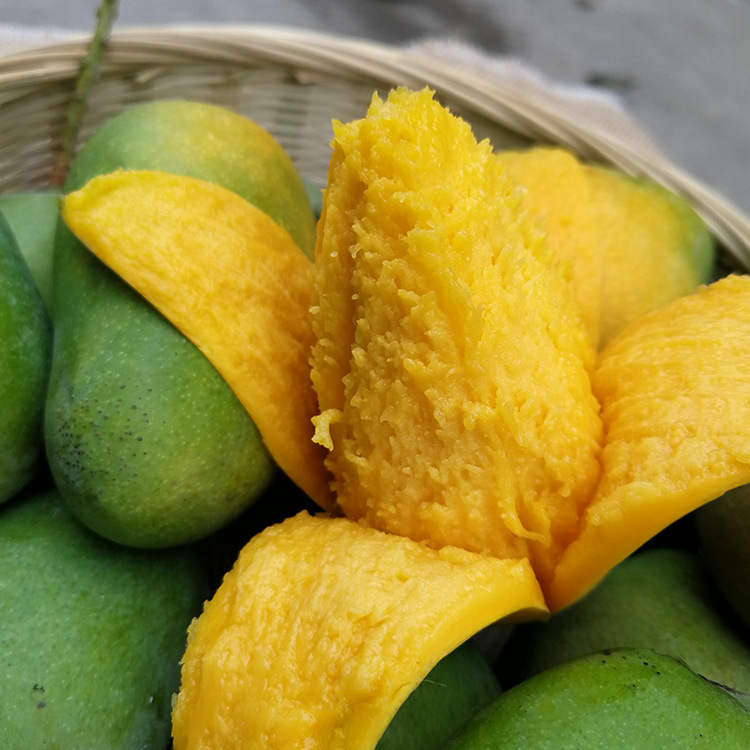 Hainan Small farmer Mango fresh Season Tropical fruit Mount Royal Green Mango One piece On behalf of