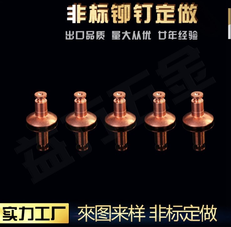 温州朱宏五金厂家供应紫铜铆钉 紫铜实心铆钉 平头空心铆钉