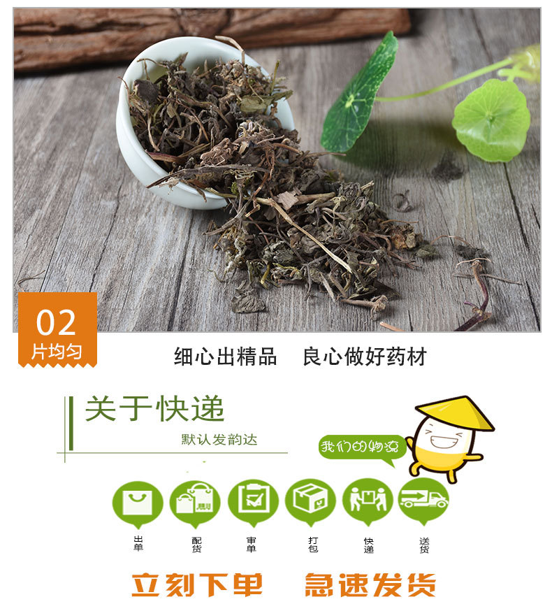 Bai Mao Xia Ku Cao (Ajuga decumbens) — Dried Whole Herb, 500g quality and texture