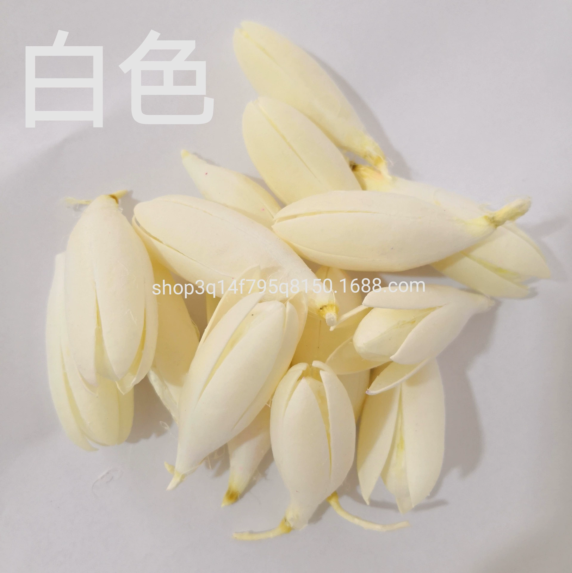 [Magnolia] Manufacturer supply naturally toon fruit shell Magnolia dried magnolia flower DIY handmade flower combination flower material