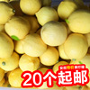 Wholesale Promotion Anyue fresh Yellow Lemon Fruit 5 Perfume Green Lemon Sour and juicy