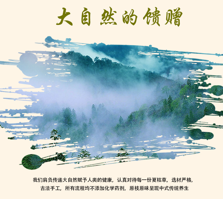 Xia Ku Qiu (Prunella vulgaris) — Dried Self-Heal Flower Spikes, Food Herb for Tea & Soup key features