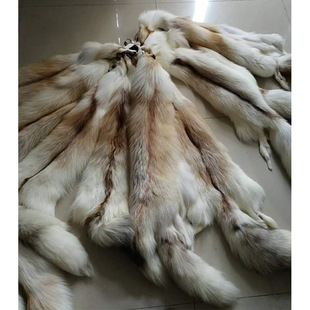 ���l�׺���Ƥ����Ƥ�ڼt����Ƥ�Ӹ��NҎ���ƺ��ӵ��ﲼñ�l