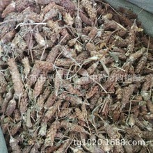 �Ŀ���  �Ŀ�����ș�� �Ŀݲ� �׻��� ��鳲� �Ŀݲ� �в�ș