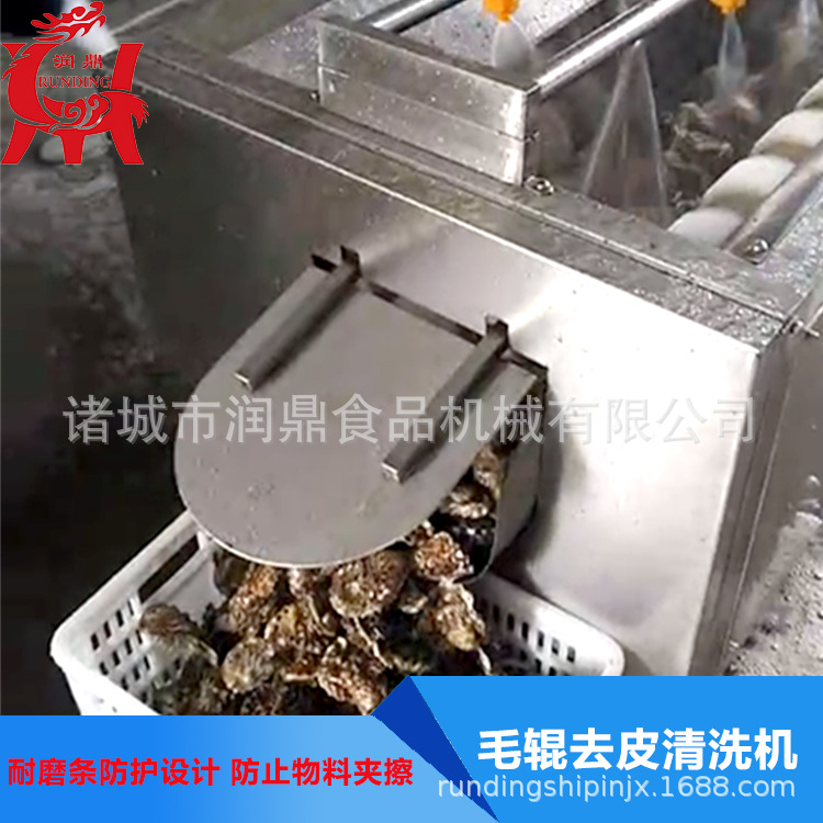 根茎类蔬菜毛辊清洗机 水产加工生产线可定制 生蚝喷淋清洗去杂机