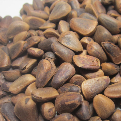 批发东北野生原味大松子2018新货味500克袋装产地货源一件代发