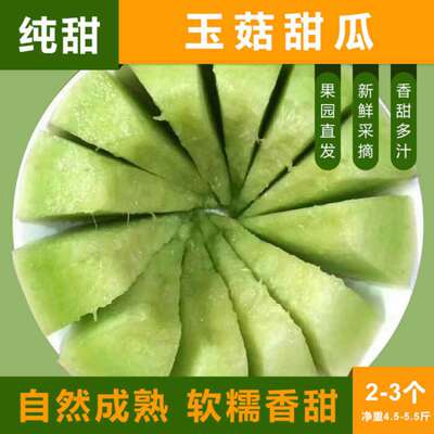 Shandong muskmelon Cantaloupe Muskmelon Place of Origin Supplying One piece Substitute for 5