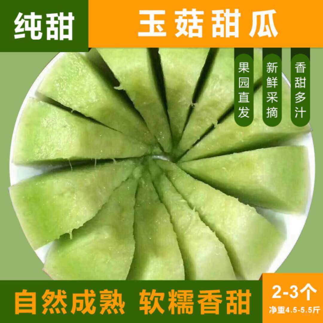 Shandong muskmelon Cantaloupe Muskmelon Place of Origin Supplying One piece Substitute for 5
