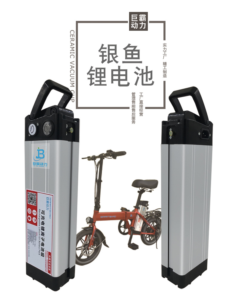 银鱼- 3.jpg