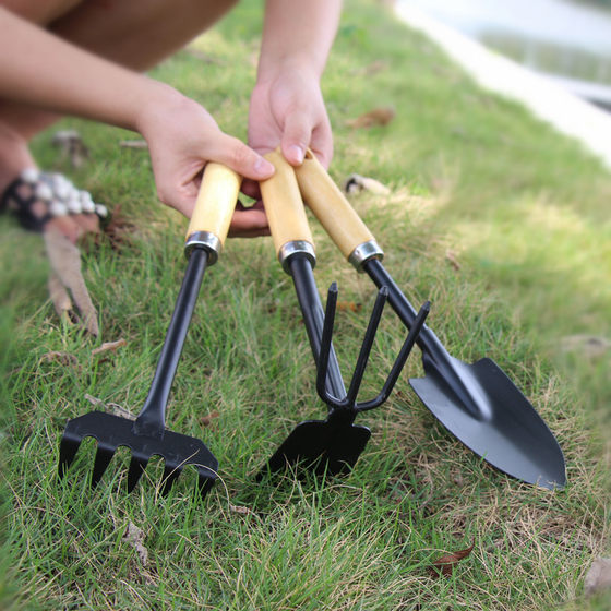 Wholesale wooden handle three-piece planting tools suit shovel hoe rake flower cultivation potted gardening garden tools