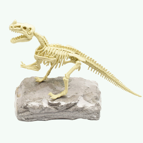Digging dinosaur DIY assembled skeleton simulation dinosaur toy model Dinosaur fossil archaeological excavation toy set