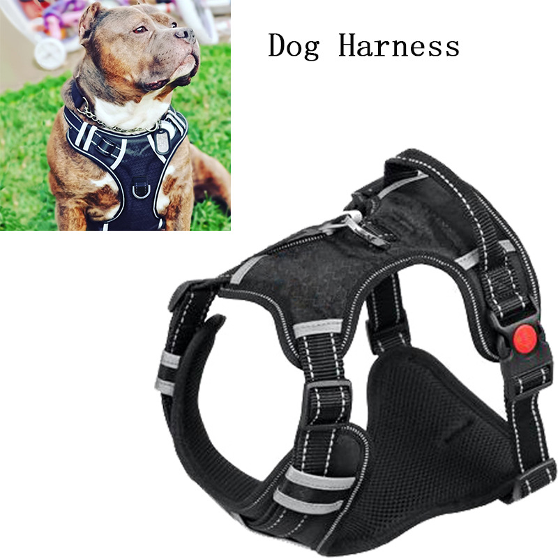 Dog Harness Image 17