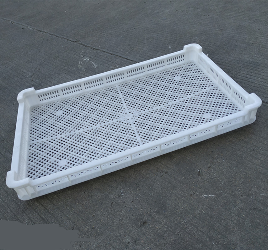 单冻器冷冻盘塑料盘冻鱼盘海鲜盘2号长730X430塑料烘盘食品冻盘