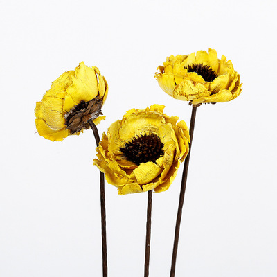 虞美人天然干花材 植物花卉欧式家居装饰干花手工花批发拍照道具