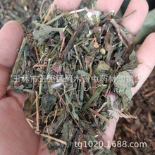 һ�c�t �������ș�� �~�¼t �t���~ �t�~�� �t���� ��Ʒ