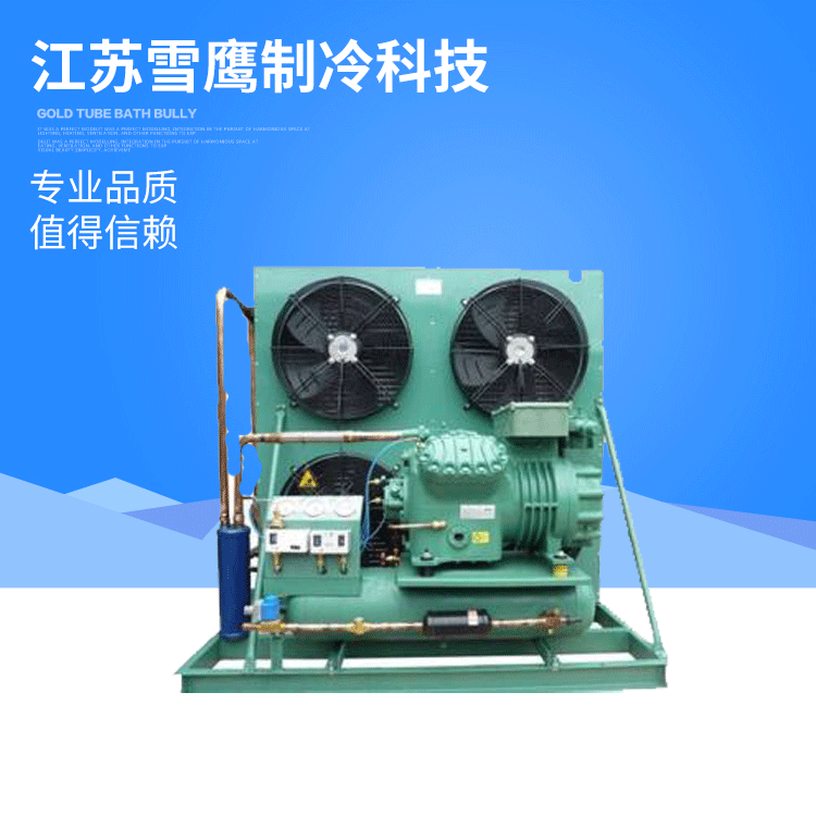 厂家直销 比泽尔压缩机制冷设备 制冷冰水机 制冷机组谷轮压缩机