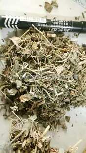 ������ѥ��