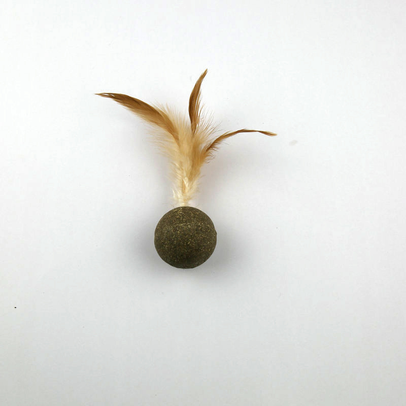 微信图片_20180607175757_副本