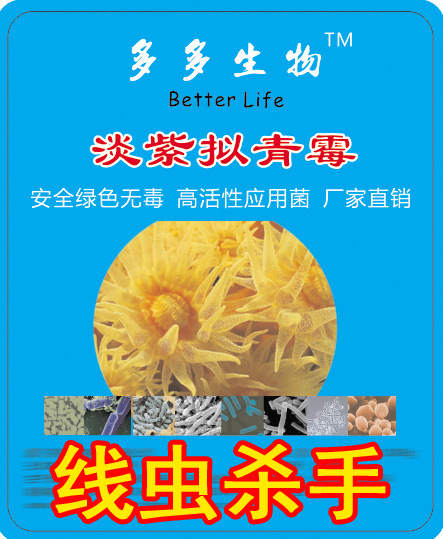 淡紫拟青霉 线虫剂 线虫清根结线虫  治茎线虫 生物菌剂1000g