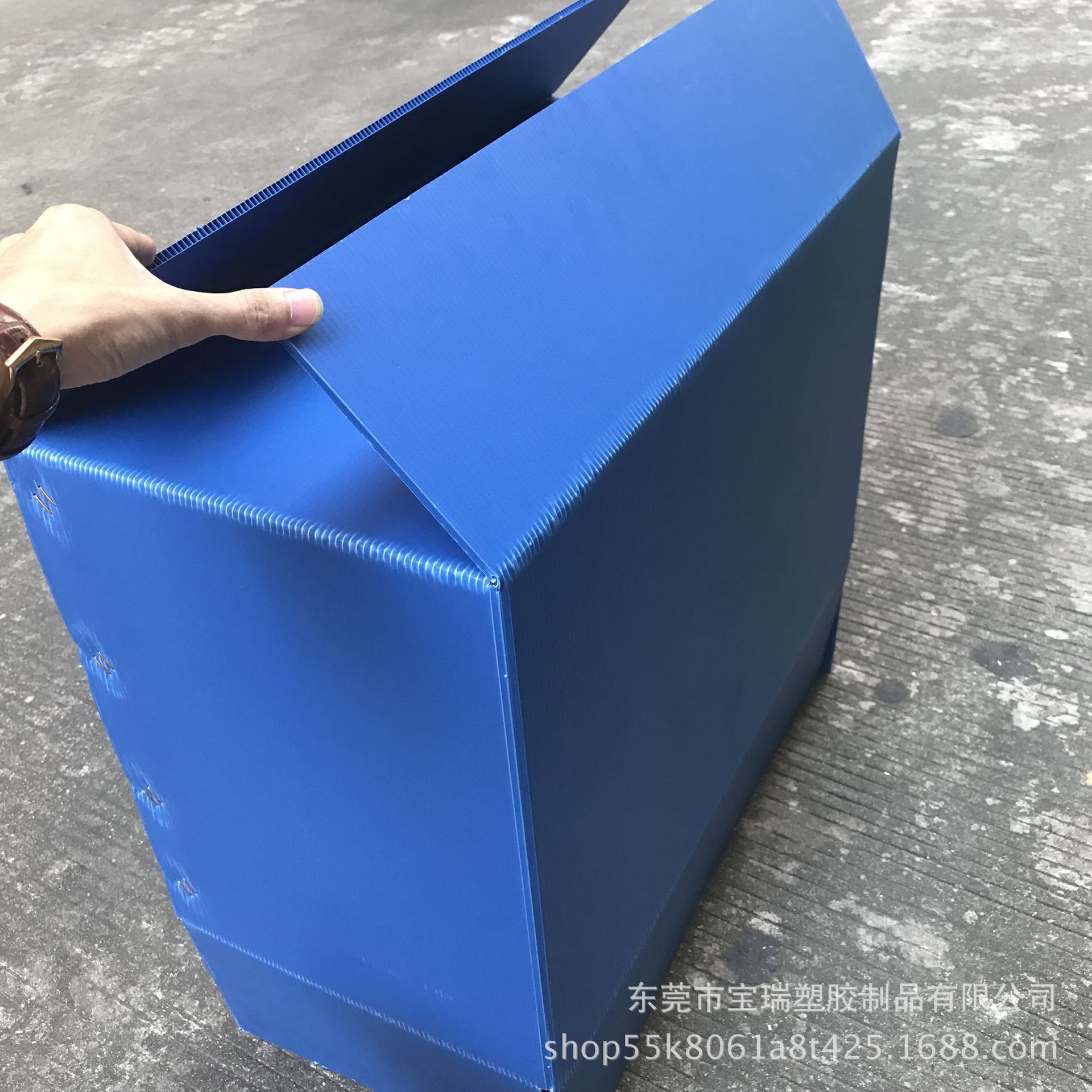 供应浙江中空板白色纸箱 蓝色塑胶回收箱 加厚加硬瓦楞箱