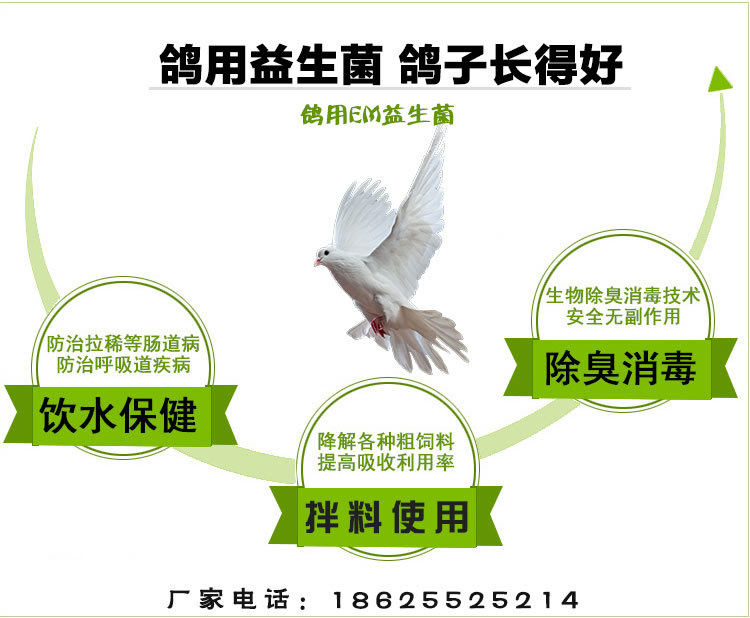 鸽子饮水保健液防病