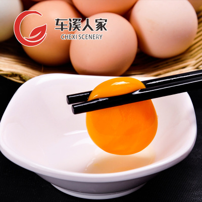 Special Offer edible free range eggs 20 Farm Che Xi Other people egg Produce